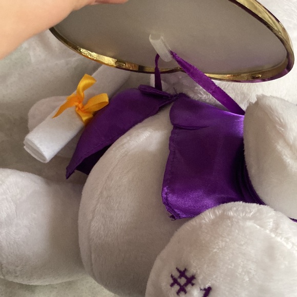 NWT Graduation teddy bear with heart photo frame - Picture 7 of 7